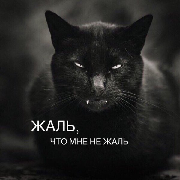 JPG - 12  2018  02:39