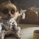 ���� ������, ������������ - ��������� 8 ��� 2018 � ������ ������ ��������