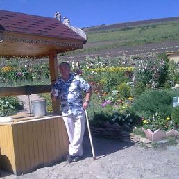 ���� ����������, �����, 73 ����