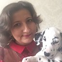 ���� ���������, �������� - ��������� 27 ���� 2018 � ������ ���� ����������