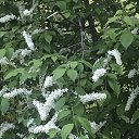 ���� �������, �����������-��-�����, 60 ��� - ��������� 4 ���� 2018 � ������ ���� ����������