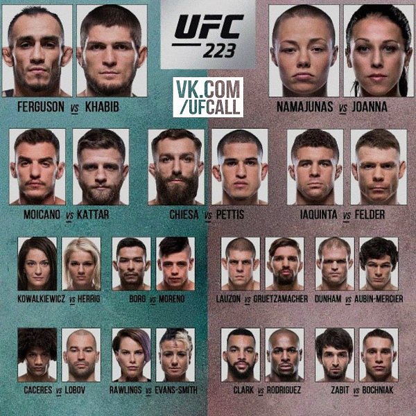    UFC 223