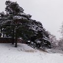 ���� ��������� �������, �����-���������, 62 ���� - ��������� 4 ������ 2018 � ������ ������ ��������