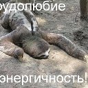 ���� �������, ������, 58 ��� - ��������� 15 ����� 2018 � ������ ������ ��������