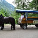 ���� ���������, ������� - ��������� 13 ������� 2018 � ������ ���� ����������