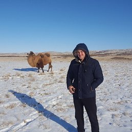 ���� �����, �����, 39 ��� - ��������� 4 ���� 2018