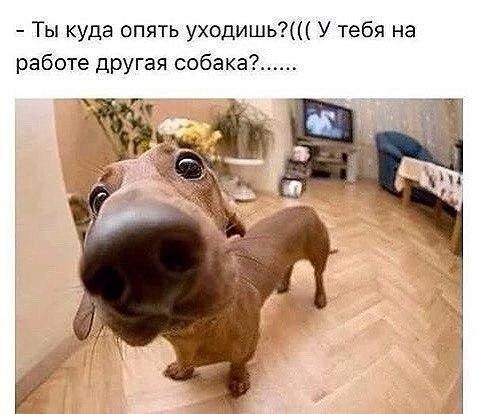   - 2  2018  03:54
