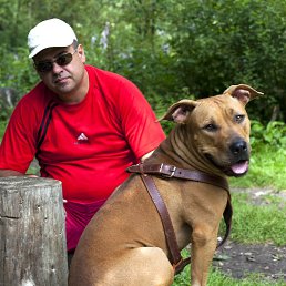 �����, �����, 54 ����