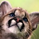 ���� ������, ������, 28 ��� - ��������� 4 ������� 2018 � ������ ���� ����������