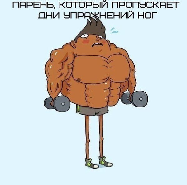 Вот кого можно встретить в спортзале! #настроение@ican