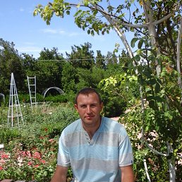 ���������, �����������, 40 ���