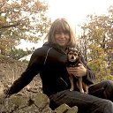 ���� ����, ����������� - ��������� 31 ��� 2018