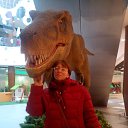 ���� �����, ���������, 61 ��� - ��������� 27 ������ 2017 � ������ ���� ����������