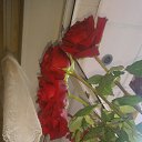 ���� ���������, ��������� - ��������� 28 ���� 2018 � ������ ������ ��������