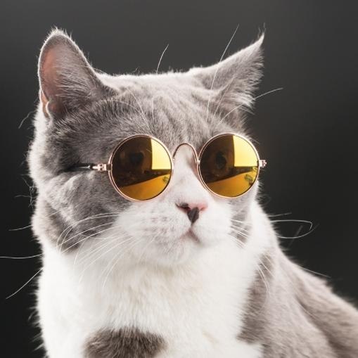 ������ �������� ��� ������ �� ���������: ���� ��� ���� - 5