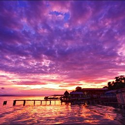 Denis, ������, 27 ���