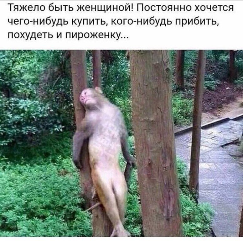    - 18  2018  17:42