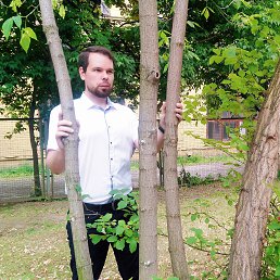 ���������, ������, 37 ���