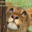 ���� * * * ���������, ������� - ��������� 30 ������� 2017 � ������ ���� ����������