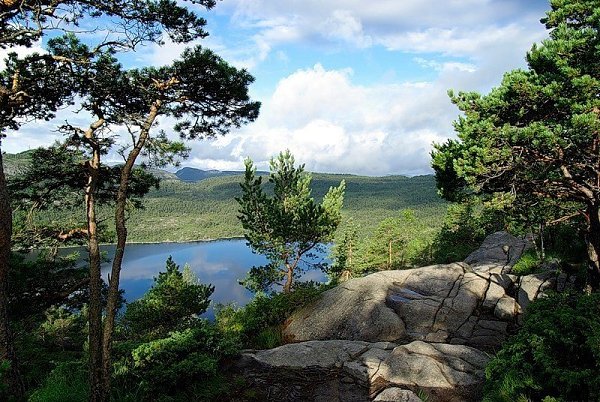 Прекестулен - самый красивый утес в мире.Прекестулен (норв. Preikestolen) - гигантский утёс с почти ... - 2