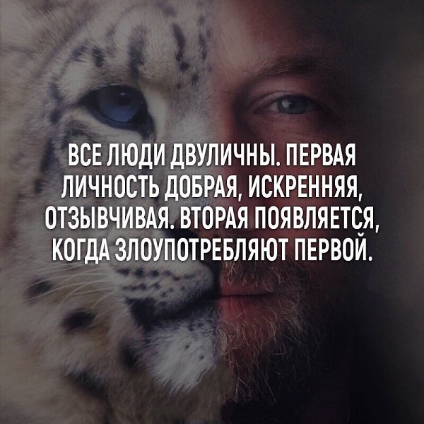     - 22  2017  03:46