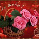  , --, 49  -  16  2018    