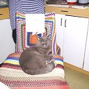  *, --, 50  -  9  2017    