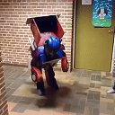 ���� ��������, ������, 43 ���� - ��������� 25 ������ 2017 � ������ ������ ��������