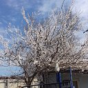 ���� ����, ����������, 55 ��� - ��������� 15 ������ 2018 � ������ ���� ����������