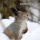 ���� ���������, �������, 61 ��� - ��������� 4 ����� 2018 � ������ ���� ����������