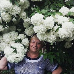 �����, �������, 77 ���