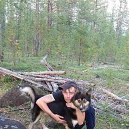 ����, ��������, 37 ���