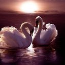 ���� �����, ������������ - ��������� 26 ����� 2018 � ������ ������ ��������