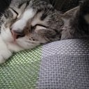 ���� ���, �������� - ��������� 16 ����� 2018 � ������ ���� ����������