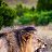 ���� Denis, ������, 40 ��� - ��������� 5 ������� 2017