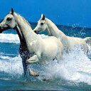 ���� �������� Volgograd, ���������, 50 ��� - ��������� 5 ���� 2018 � ������ ���� ����������