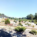  ,  -  8  2018     , .