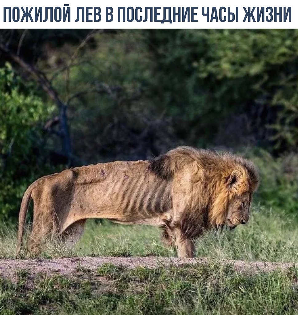   - 10  2018  02:43