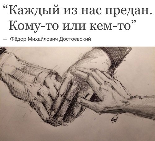  | ,  - 24  2017  03:51