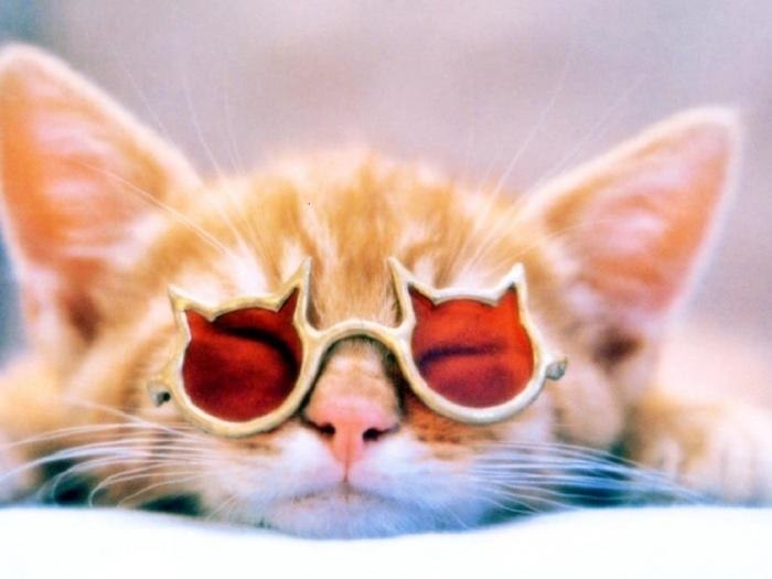 ������ �������� ��� ������ �� ���������: ���� ��� ���� - 2