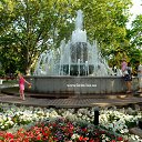 ���� Elena, �����������, 54 ���� - ��������� 29 ����� 2018 � ������ ���� ����������