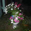 ���� Maria, �����������, 67 ��� - ��������� 1 ��� 2018 � ������ ������ ��������