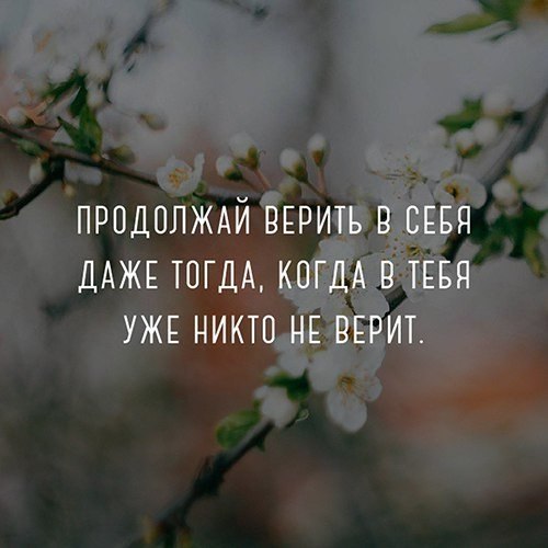  | ,  - 10  2018  03:35