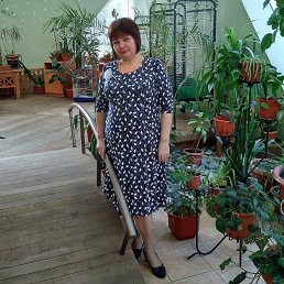 �����, �����������, 62 ����