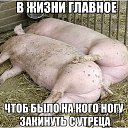 ���� �����, ��������, 59 ��� - ��������� 7 ������ 2018 � ������ ������ ��������