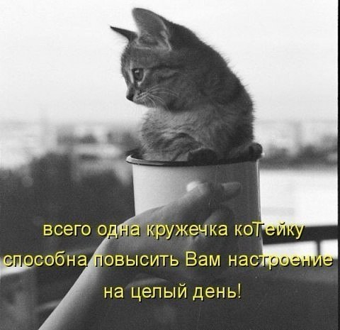    - 24  2018  04:01