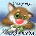  , -, 64  -  29  2018    