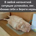 ���� ������, ������, 57 ��� - ��������� 29 ��� 2018 � ������ ������ ��������