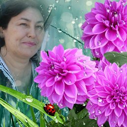 ������, ������������, 65 ���