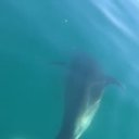 ���� ������, �����������, 52 ���� - ��������� 3 ��� 2018 � ������ ���� ����������